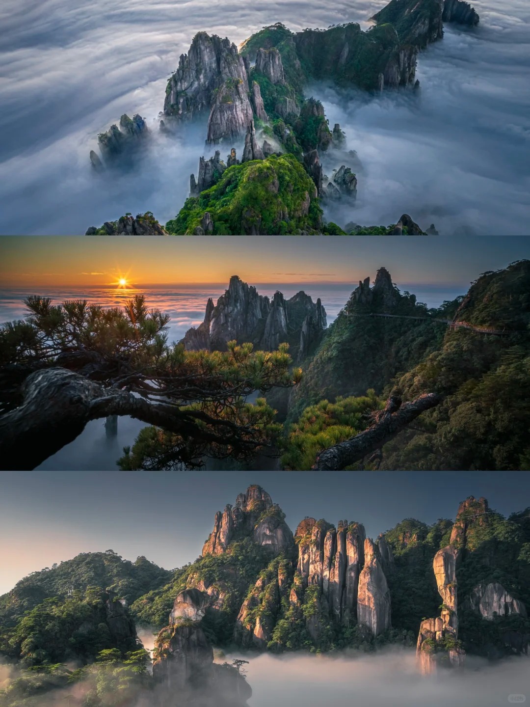 云涌仙山｜三清山机位分享